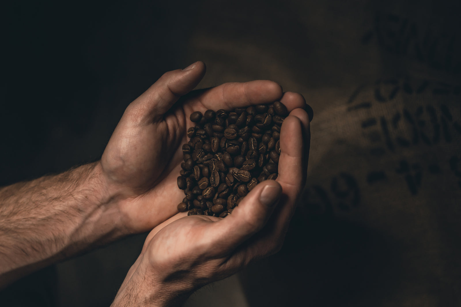 Wildcard Coffee Roast: January 2023 "Dolly"