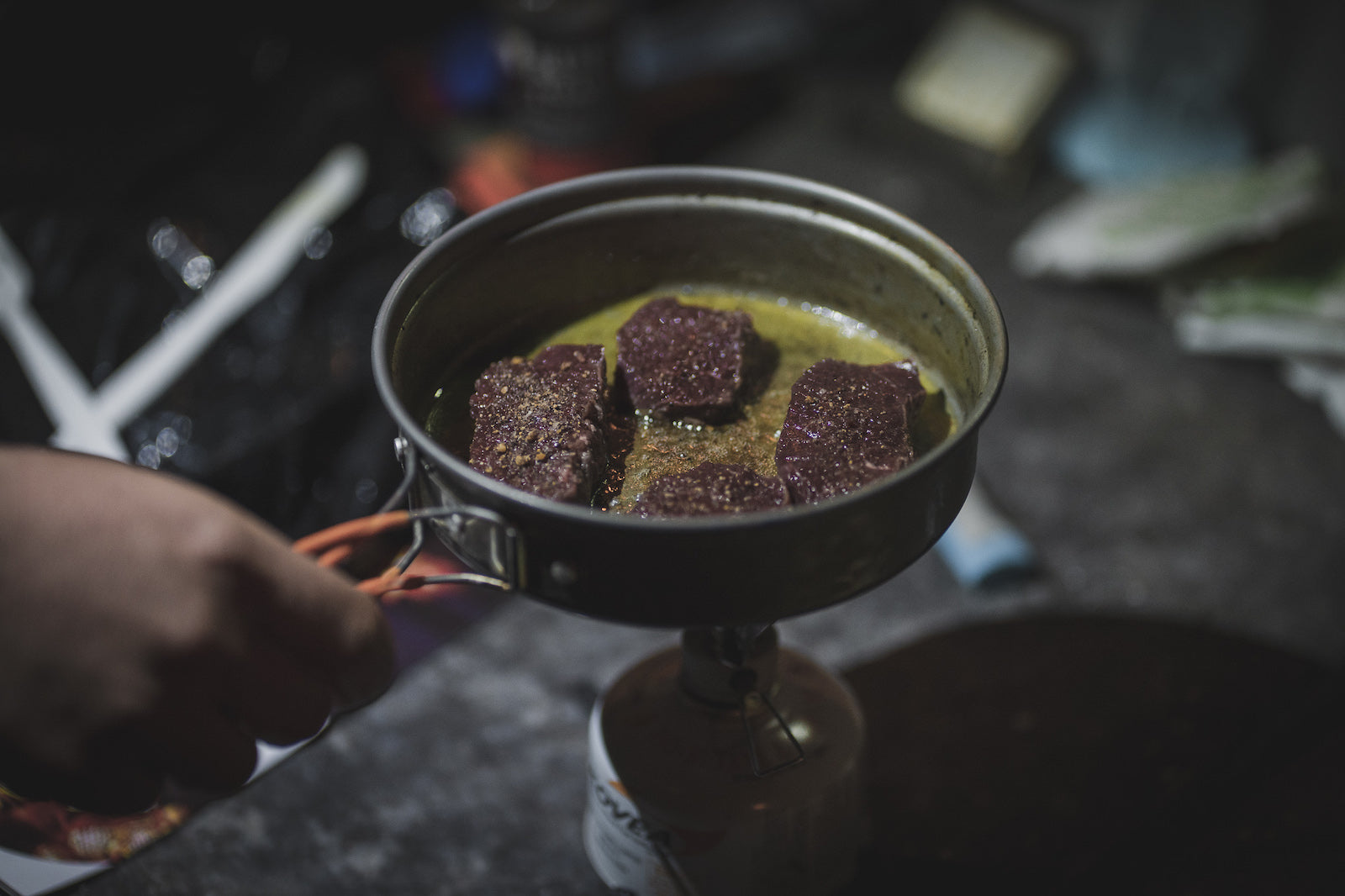FIELD CARE OF GAME MEAT