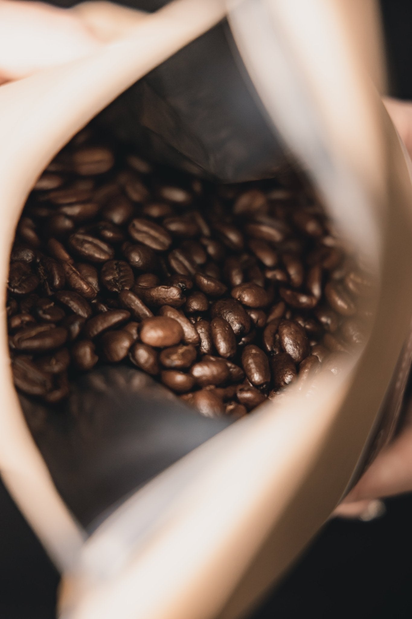 Whole Bean Coffee - Dog & Gun Coffee