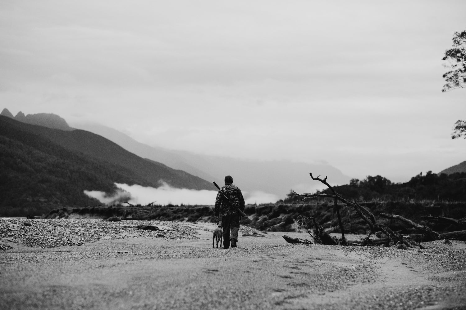 Dog and gun coffee hunters journal