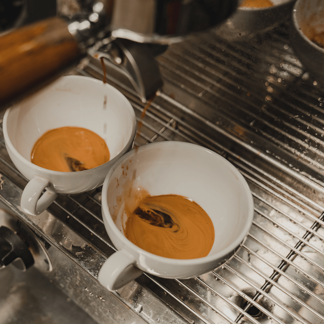 Coffee - Dog & Gun Coffee