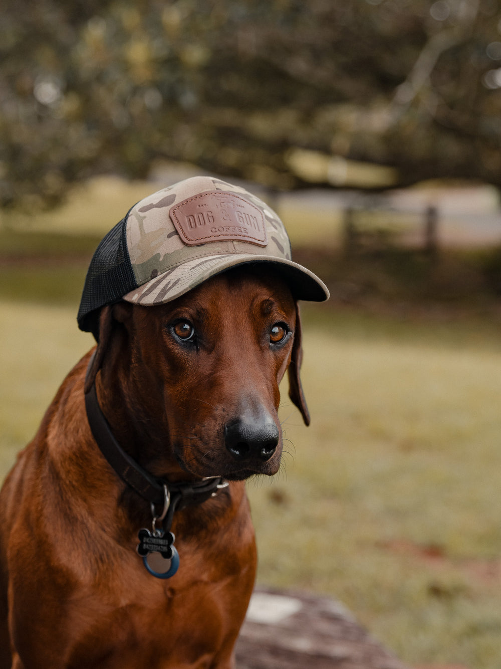 Dog & Gun Premium Leather Trucker Cap