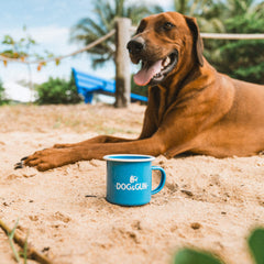 Brown dog lying on sand with a blue enamel mug labeled 'DOG & GUN' 