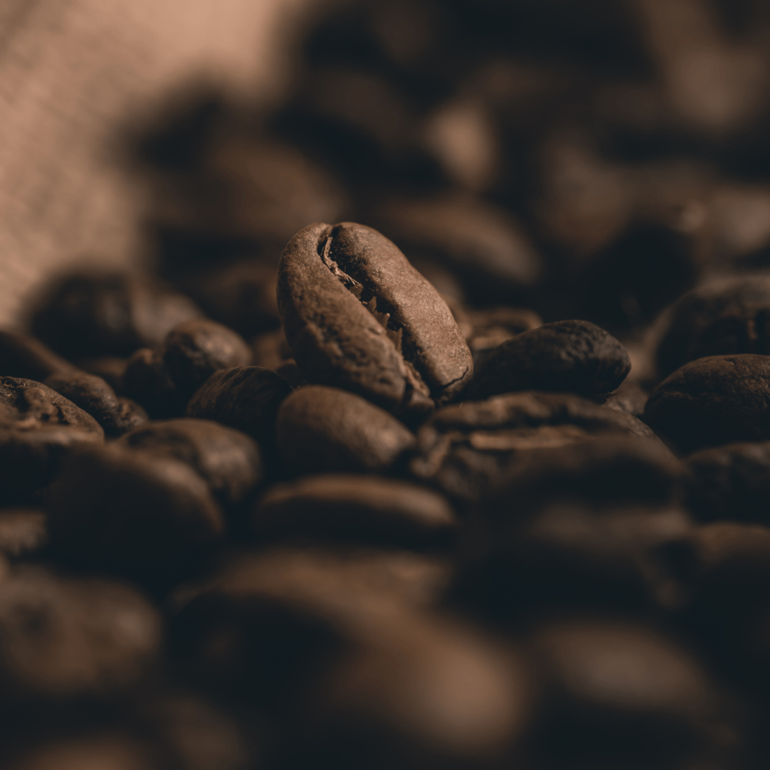 Whole Bean Coffee 750g – Multiple Roast Options